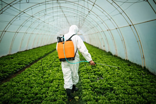 Best Affordable Pest Control Services  in Dix Hills, NY