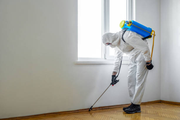 Professional Pest Control in Dix Hills, NY