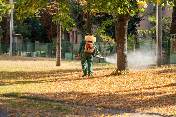 Pest Control for Restaurants in Dix Hills, NY