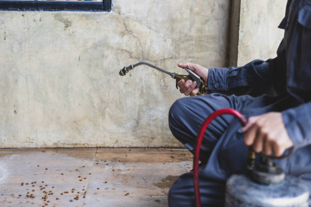 Best Wasp Removal Services  in Dix Hills, NY